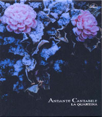 �W���P�b�g